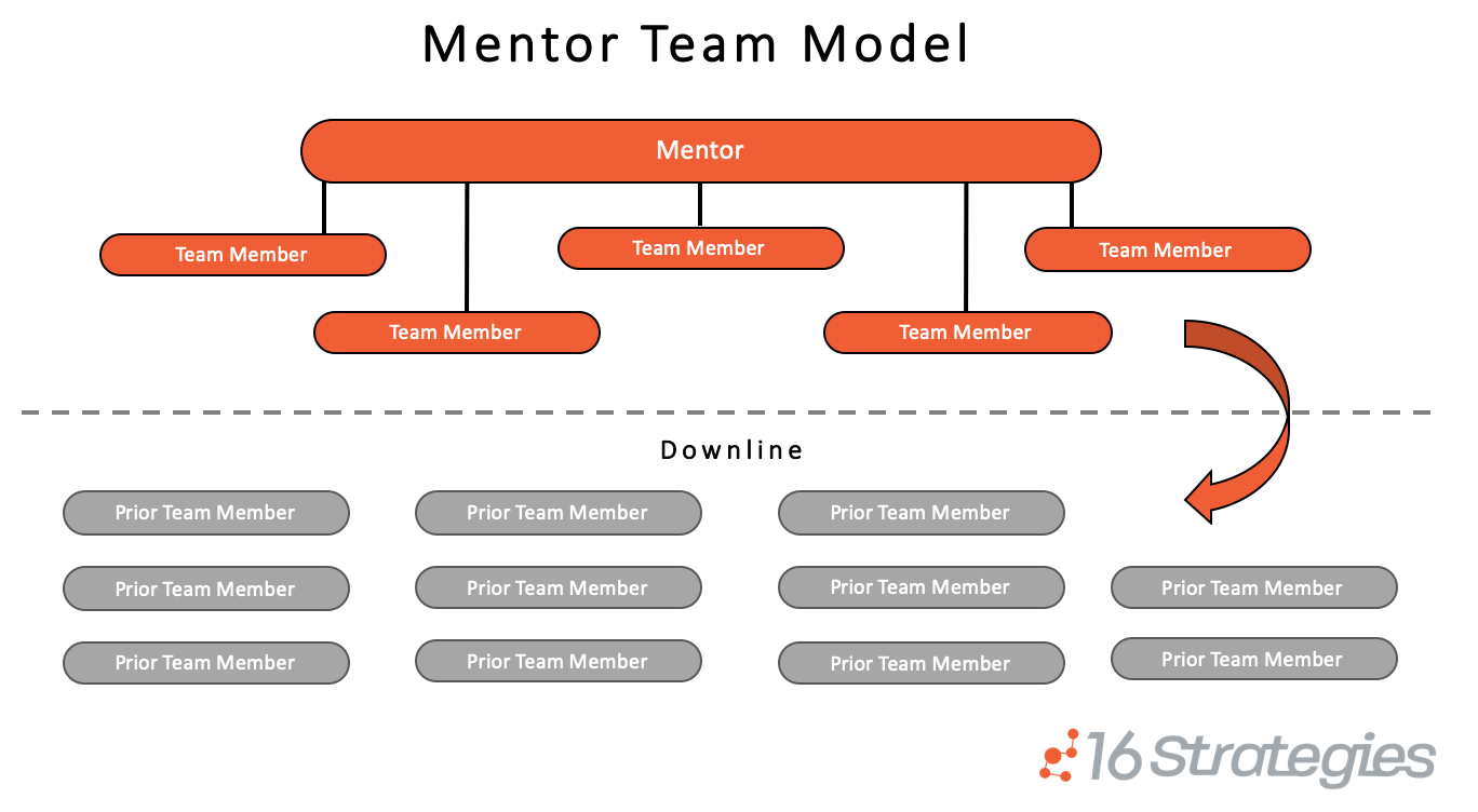 Team Models That Actually Work (Mentor/Mentee, Team Leader, etc.)